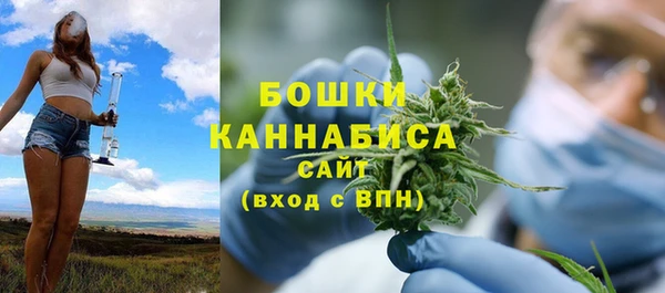 молекула духа Михайловск