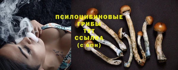 молекула духа Михайловск