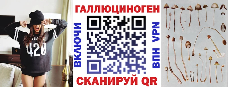 Галлюциногенные грибы Cubensis  Дмитриев 
